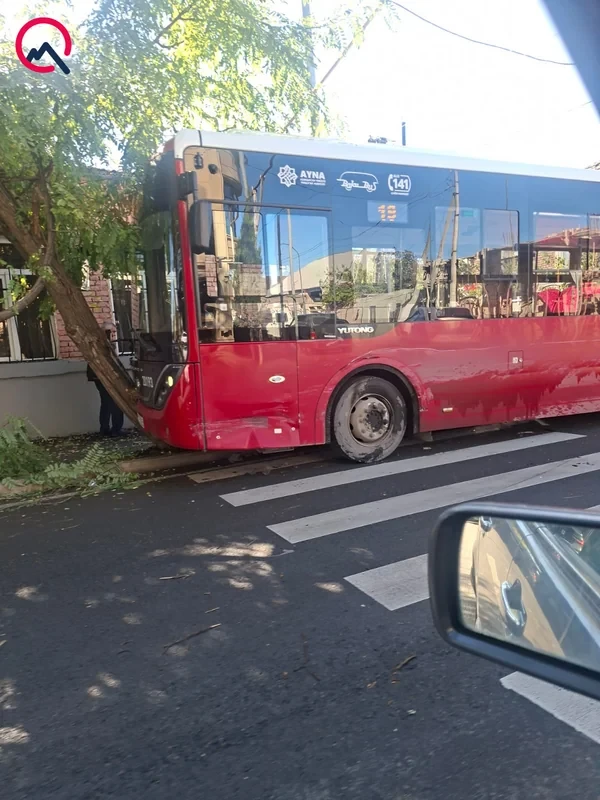 В Гяндже автобус BakuBus столкнулся с легковушкой и врезался в дерево
