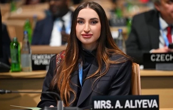 Алёна Алиева сделала публикацию по случаю Дня Государственного флага
