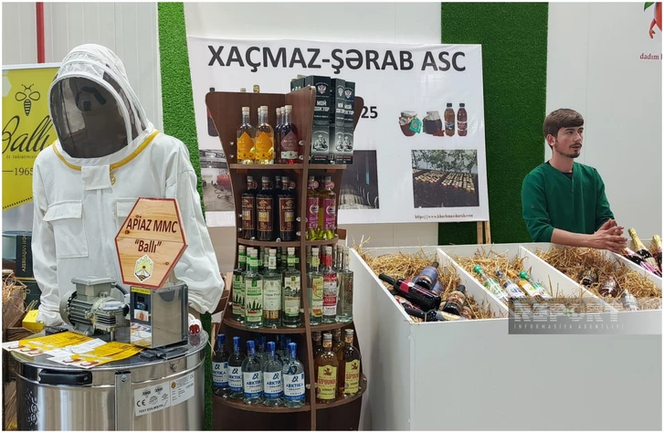 Media.az - Новости Азербайджана - В Хачмазе прошел масштабный Фестиваль аграрного бизнеса и персика