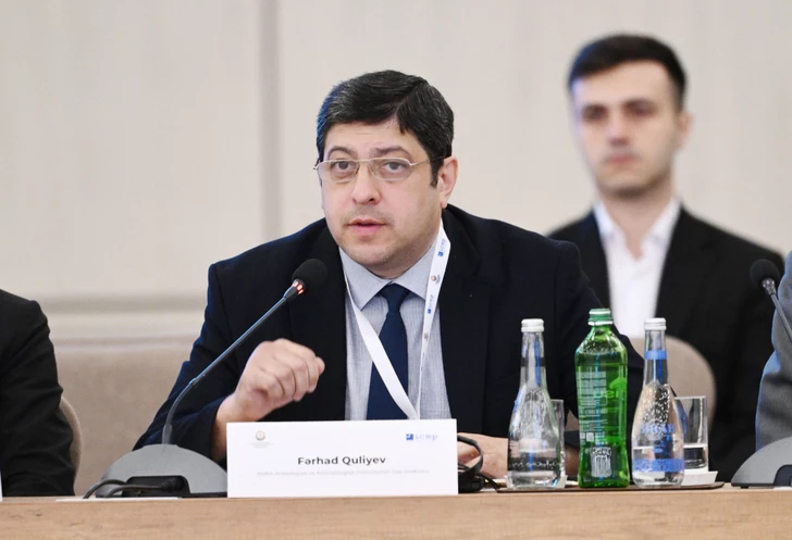 Media.az - Новости Азербайджана - В Баку состоялась международная конференция по проблеме пропавших без вести лиц
