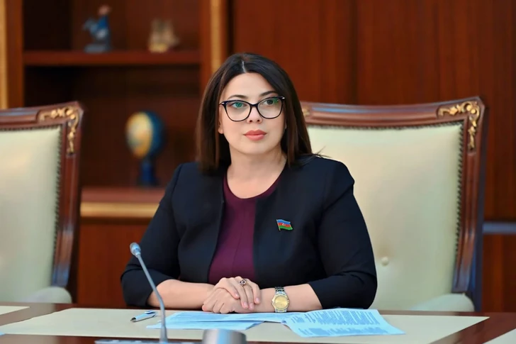 Сабина Салманова: Проведение WUF13 стало результатом высокого доверия к Баку на мировой арене