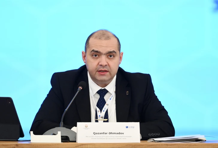 Media.az - Новости Азербайджана - В Баку состоялась международная конференция по проблеме пропавших без вести лиц