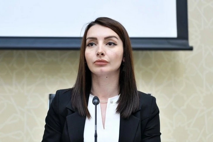 Лейла Абдуллаева: Азербайджан ожидает нормализации отношений с Парижем в скором времени
