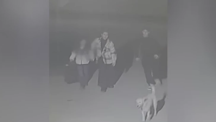Шокирующий случай в Баку: мать бросила маленькую дочь ночью на улице и велела идти в приют