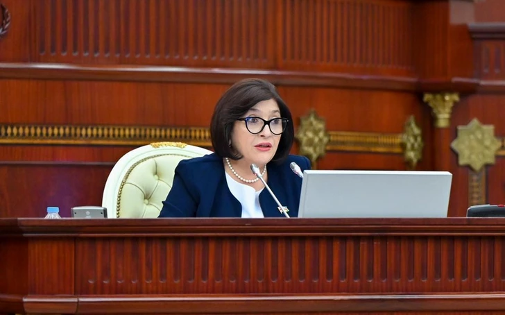 Председатель Милли Меджлиса подчеркнула миротворческую роль Азербайджана на заседании ПАЧЭС