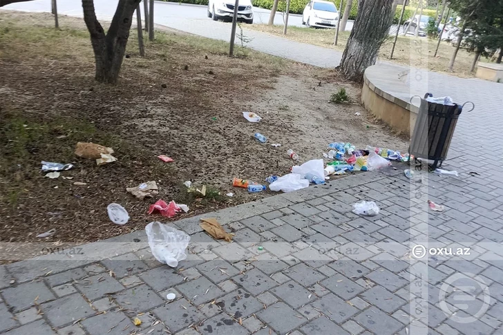 Media.az - Новости Азербайджана - Парк перед Академией наук в Баку утопает в мусоре: жители просят навести порядок