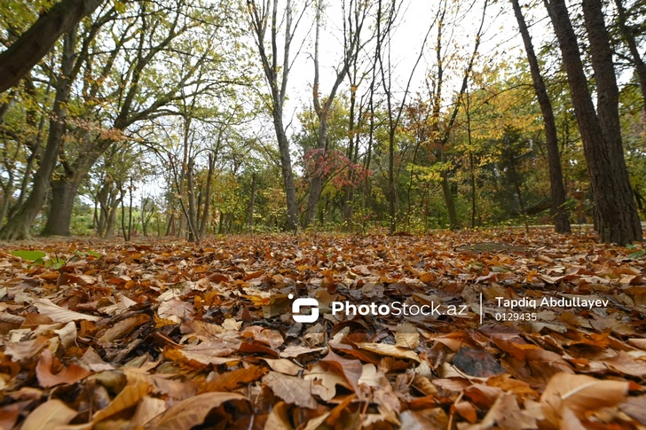 В Азербайджане назвали точное время наступления осени