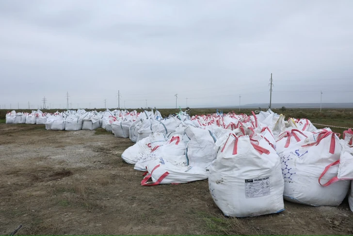 Media.az - Новости Азербайджана - АПБА проводит очистку территорий от непригодных пестицидов в ряде районов Азербайджана