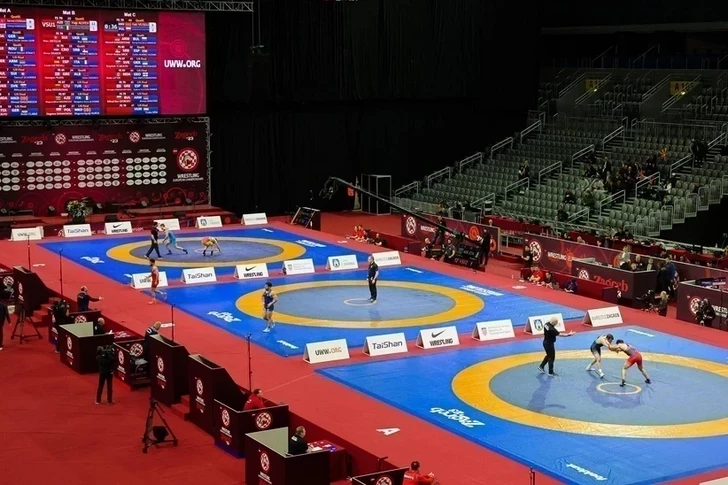 Два азербайджанских борца вышли в финал Евро