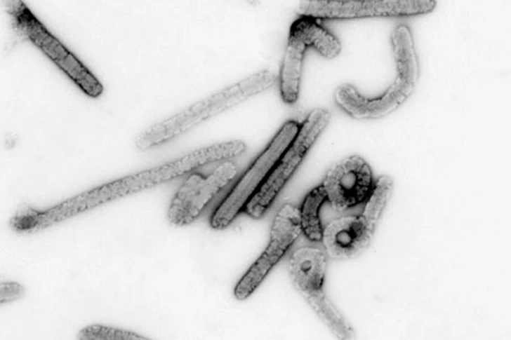 Созданы первые наноингибиторы для борьбы с одним из самых смертоносных вирусов на Земле