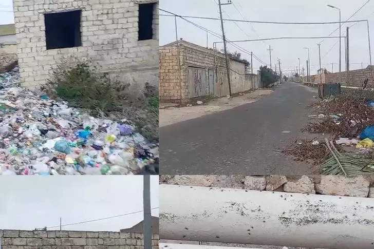 Антисанитарная ситуация в поселке Тюркян устраняется
