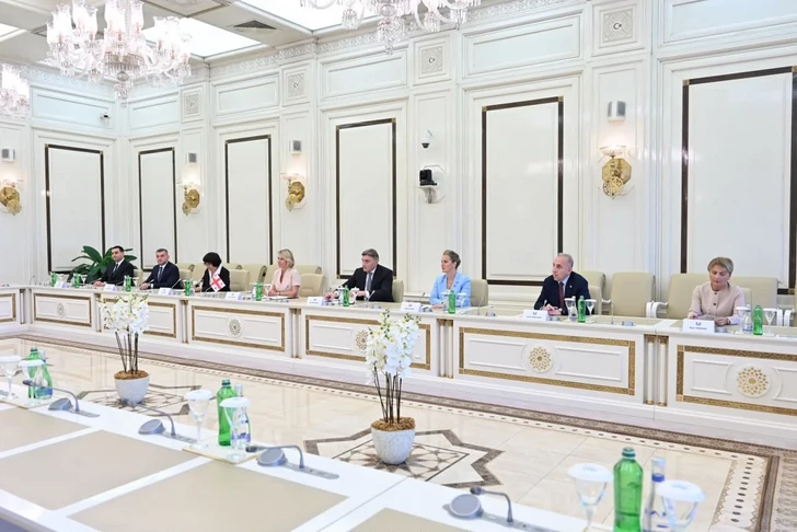 Media.az - Новости Азербайджана - В парламенте Грузии высоко оценили позицию Азербайджана по территориальной целостности страны