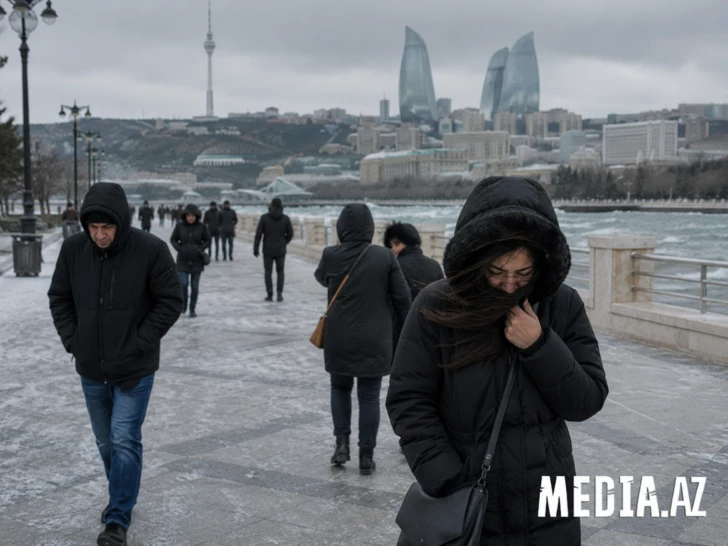 После аномальной жары в Европе: какой может быть зима в Азербайджане