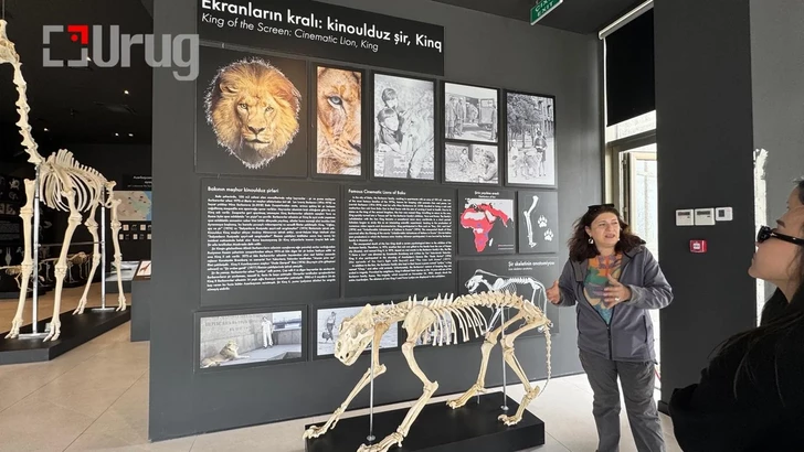 Media.az - Новости Азербайджана - Монгольские журналисты восхищены Азербайджаном: Одно из самых прекрасных путешествий в жизни