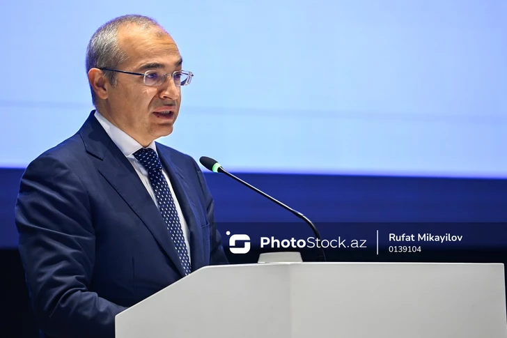 Микаил Джаббаров: Роль частного сектора в ВВП Азербайджана растёт