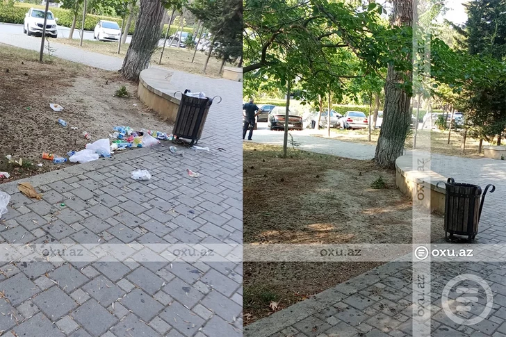 Media.az - Новости Азербайджана - После жалоб жителей парк за Академией наук в Баку очистили от мусора