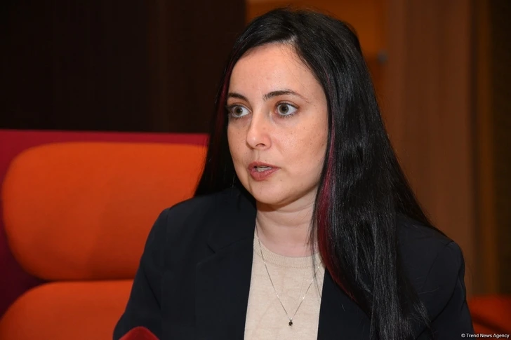 Элина Бардач-Ялова: Израильские бизнесмены заинтересованы в сотрудничестве с Азербайджаном