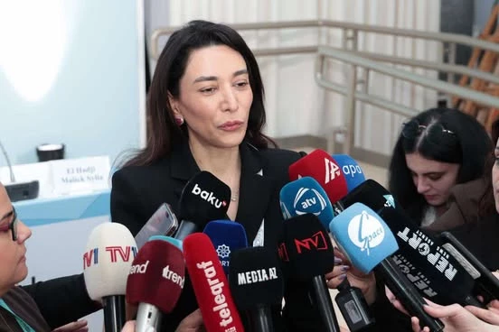 Сабина Алиева рассказала на WUF13 о защите прав людей с инвалидностью в Азербайджане