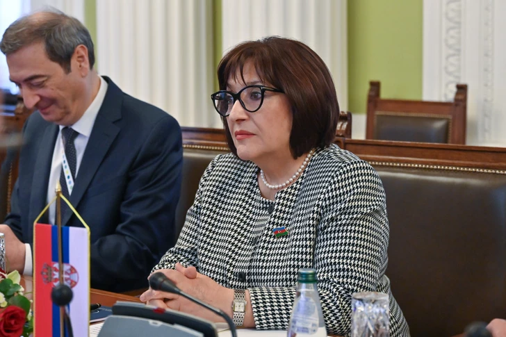 Media.az - Новости Азербайджана - Спикер парламента Сербии поблагодарила Азербайджан за содействие в обеспечении энергобезопасности