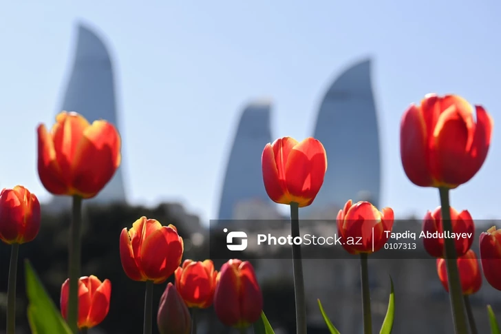 Прогноз погоды в Азербайджане на 23 мая