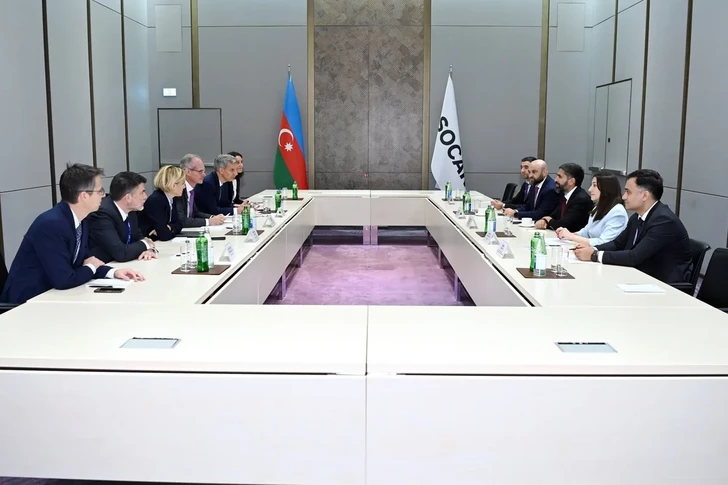 SOCAR и TotalEnergies обсудили совместные проекты в сфере энергетического перехода