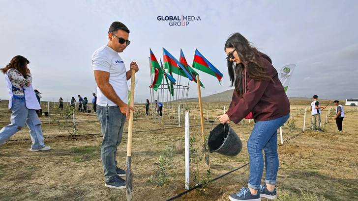 Media.az - Новости Азербайджана - По инициативе Global Media Group проведена очередная акция по посадке деревьев