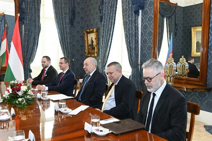 Media.az - Новости Азербайджана - Главу МИД Азербайджана принял президент Венгрии