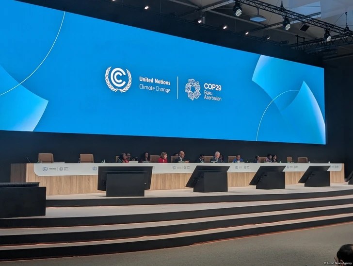 В рамках COP29 созданы контактные группы по статьям Климатического соглашения