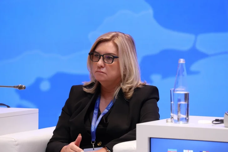Media.az - Новости Азербайджана - «Зеленый энергетический коридор»: в Баку обсудили распределение инвестиционных рисков