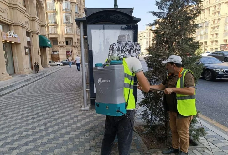 Media.az - Новости Азербайджана - В Баку провели общегородской субботник