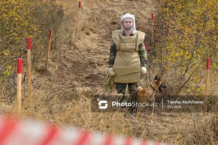 Media.az - Новости Азербайджана - Разминирование в Агдаме: саперам помогают дистанционно управляемые роботы