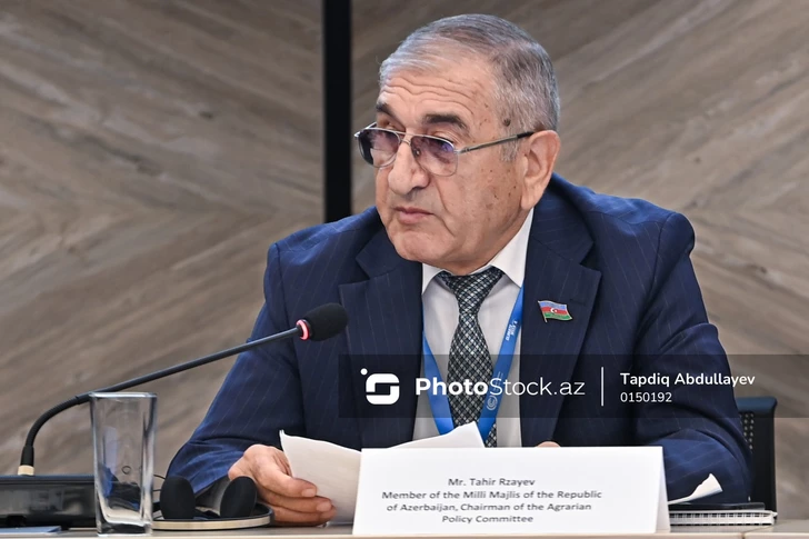 Таир Рзаев: Углеродный рынок пока недостаточно сформирован для долгосрочных прогнозов