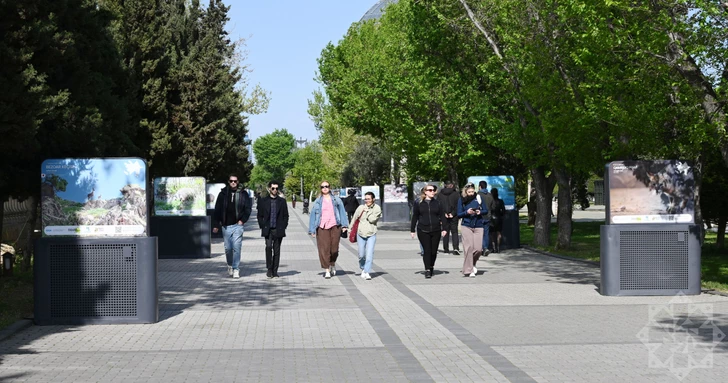 Media.az - Новости Азербайджана - В Баку по инициативе Лейлы Алиевой открылась выставка «По следам азербайджанской природы»
