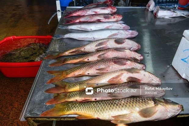 Кутум, берш и кефаль: какую рыбу трудно найти на местных рынках?