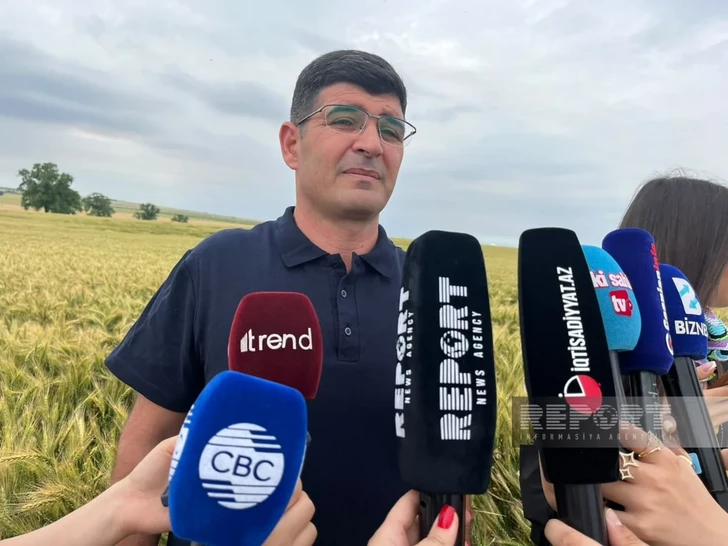 Media.az - Новости Азербайджана - В Азербайджане фермеры смогут проверять семена по QR-коду