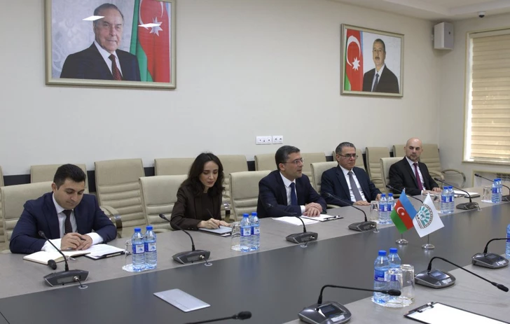 Media.az - Новости Азербайджана - В MEDİA обсудили углубление медиавзаимодействия между странами D-8