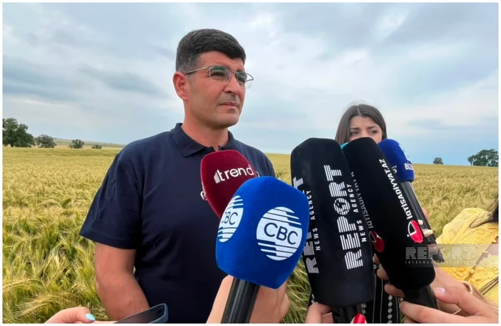 Media.az - Новости Азербайджана - Цифровой контроль качества: как Азербайджан следит за чистотой семенного фонда