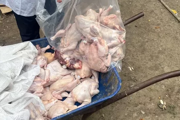 В Азербайджане выявлены нарушения на двух объектах по забою кур