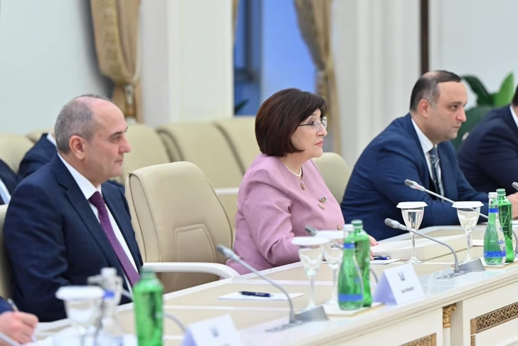 Спикер ММ и глава постоянного комитета ICAPP обсудили пути сотрудничества