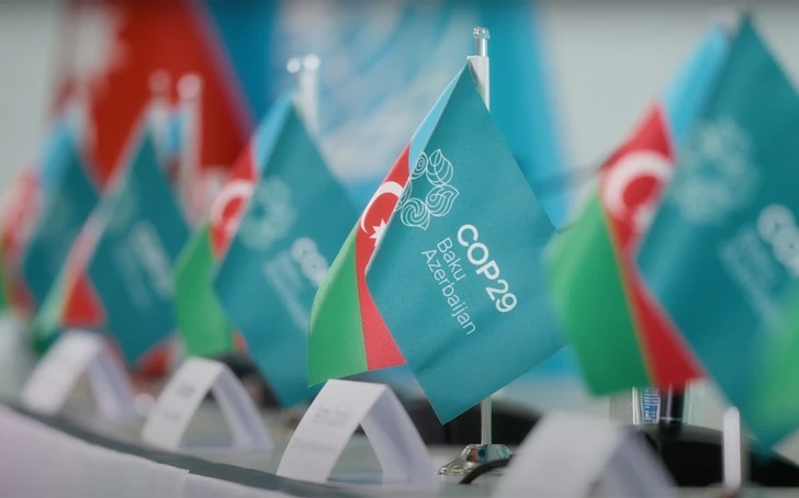 На COP29 в Баку обсудили мобилизацию правоохранительных органов в борьбе с изменением климата