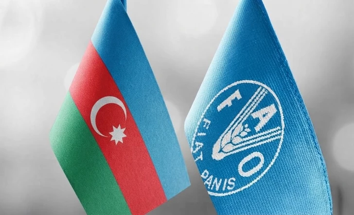 FAO и Азербайджан готовят новое соглашение о партнерстве