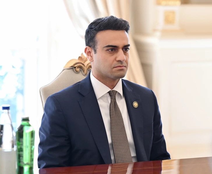 Media.az - Новости Азербайджана - Президент Ильхам Алиев принял члена Палаты представителей Конгресса США