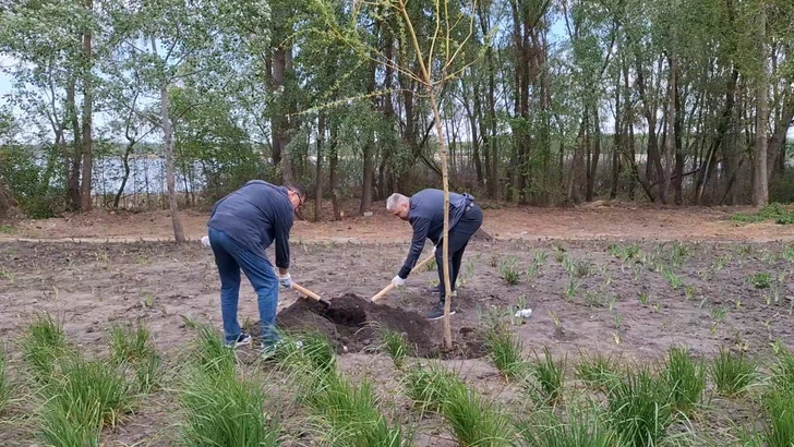 Media.az - Новости Азербайджана - В Киеве отметили 103-ю годовщину со дня рождения общенационального лидера Гейдара Алиева
