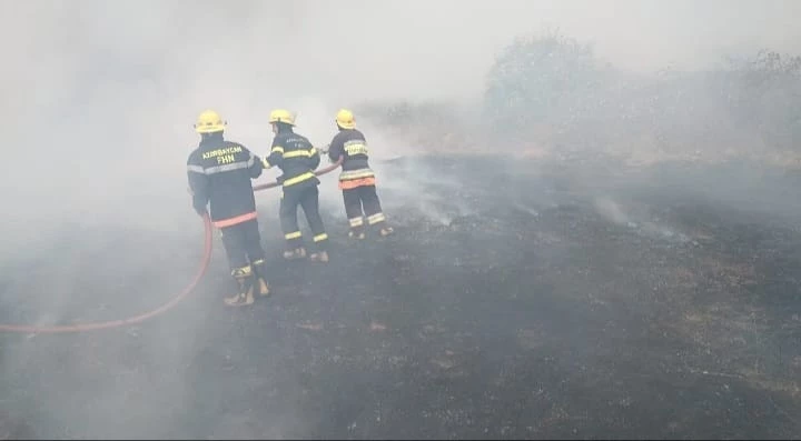 Media.az - Новости Азербайджана - В горной местности Агсуинского района вспыхнул пожар: ведутся работы по ликвидации