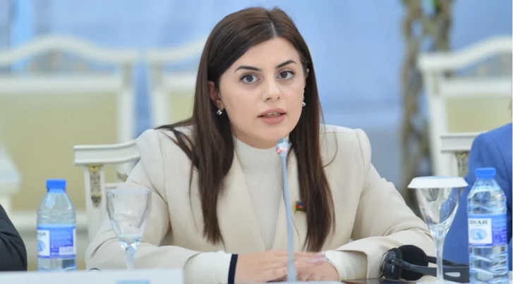 Единое управление и доступная медицина: депутат о будущем здравоохранения Азербайджана