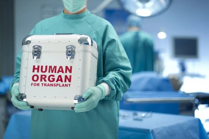 Трансплантация органов у детей требует особого подхода - Минздрав Азербайджана
