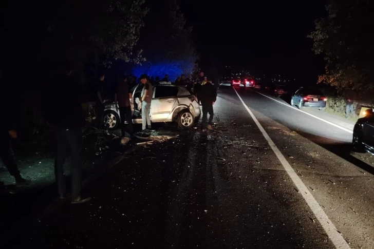 В Шеки автомобиль врезался в дерево, водитель погиб