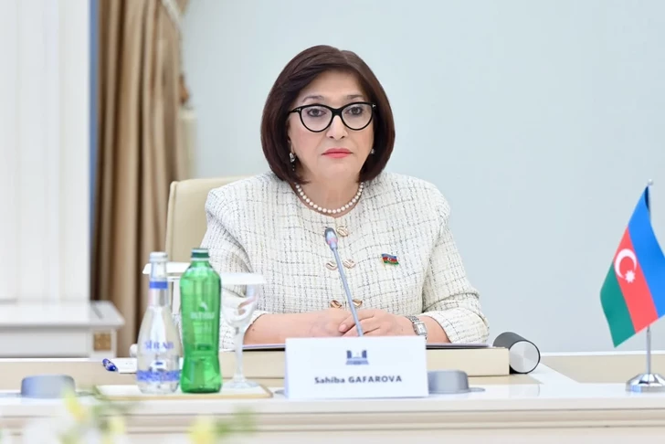 Media.az - Новости Азербайджана - В парламенте Грузии высоко оценили позицию Азербайджана по территориальной целостности страны