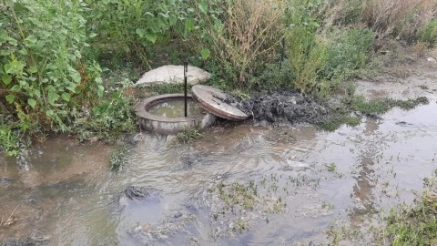 В Мингячевире сточные воды залили улицу: жители задыхаются от зловония