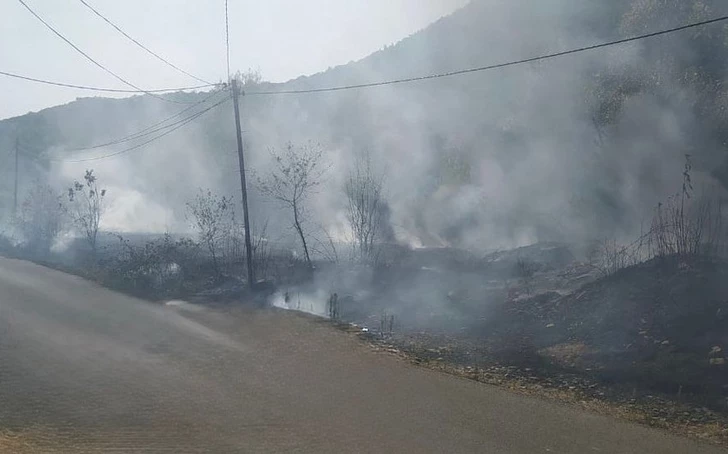 Пожар в Габале: виновниками оказались двое подростков